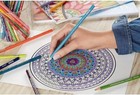 Colored Pencils  Soft Core  Sketching  Drawing  Art 