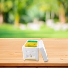 Portable Bee Breeding And Harvesting Kit Promote Pollination And Garden Yield