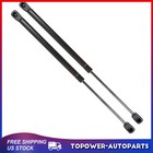 2pcs Rear Window 28lb Lift Supports Shock Struts C16-08941 Truck Camper Top
