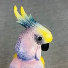 Cockatoo Parrot Bird Figurine On Branch Porcelain Unmarked Karl Ens Style 7 25 