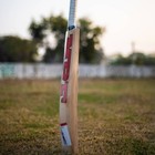 Mrf Chase Master  English Willow Cricket Bat Sh