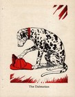 Sweet Vintage Dalmatian Print 1940 Diana Thorne Dalmatian Wall Art 6467c
