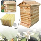 Beehive Wooden Beekeeping House Auto Shed Brood Bee Hives Box   7 Honey Frames