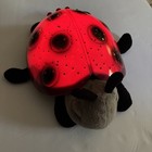 Cloud B Ladybug Twilight Projector Red Black Plush Hard Shell Nightlight Stars