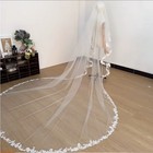Wedding Veil Cathedral