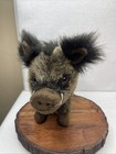 Hansa 10  Wild Boar Realistic 2010 Stuffed Animal Plush