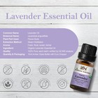 Organic Lavender Essential Oil Usda Certified 100  Pure Therapeutic Grade