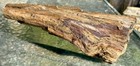 Stunning  13  Petrified Wood natural Slab hematite knot beautiful Shape   Detail