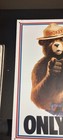 Smokey Bear Only You Us Forest Service Fires Retro Wall Decor Metal Tin Sign