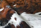 Real Cowhide Rug Tricolor - Size 6x7-8   