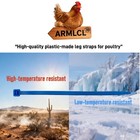 480pcs Chicken Leg Bands - Easily Identify Your Poultry With Colorful Leg