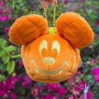 Disney Tokyo Japan Halloween Mickey Mouse Pumpkin Pouch Keychain Plush Case New