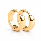Gold Tone Stainless Steel Huggie Hoop Earrings Small Hinged Earrings Men Women