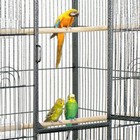53  Large Play Top Bird Parrot Bird Cage Finch Cage Macaw Cockatoo Pet Supplies