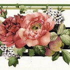 Cabbage Red Roses Floral Wallpaper Border Flower Wall Decor  4 25  Wide Border