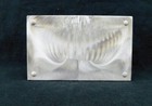 Unique Microscope Sample Slide Holder - 25 Slots  Numbered - With Cork Bottom