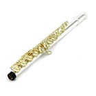 Sky Brand New Band Approved Silver Plated Gold Key C Flute W Case Accessories