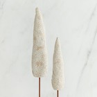 Willow Tree Cypress Trees  27598 