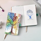 Pocket Calendar 2025-2028 - Planner 2025-2026  Jul  2025 - Jun  2028  3 Year 