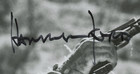 Harrison Ford Vintage Autographed Signed 8x10 Photo Star Wars Amco Coa 26135