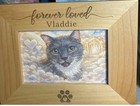 Custom Watercolor Painting From Photo  Personalized Portrait Pet Cat Animal Art