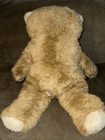 Applause Avanti 1982 Vintage 18    Teddy Bear  962  jockline  Italy 