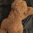 Fao Schwarz Brown Plush Dog Stuffed Animal Medium Pa-18759 cn 