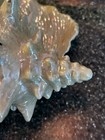 Vtg Atlantic Mold Conch Shell Ceramic Planter Sienna Inside Retro Beach Decor