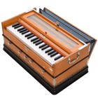 Bina Tarang 3 25 Octave Natural Double Reeds 5 Stopper Double Bellow Harmonium