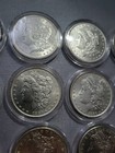 Morgan Silver Dollar Sharp Bu     Gem True Beauties All Higher Grade Silver Coin