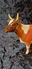 Rare Beswick Ayrshire Cow Champion Ch  Ickham Bessie Arthur Gredington 1350