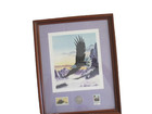 Balke American Bald Eagle   Stamps With Nhalf Dollar And Portrait 
