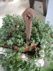 Antique Primitive 3 Old Early Garden Tools Trimmer Shears  Claw Iron Spike