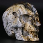 3 5  Ocean Jasper Carved Crystal Skull  Realistic  Crystal Healing