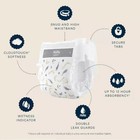 Millie Moon Luxury Disposable Diapers Size 2 Count 96ct