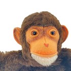 1949-54 Steiff Jocko Chimpanzee Hand Puppet - Mohair German Made Monkey