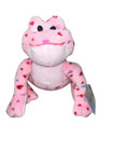 Ganz Webkinz Love Frog Plush 8    Valentine   s Day 2008 Nwt Unused Code Le