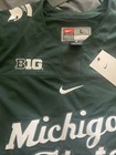 Michigan State Spartans Nike Big 10 Green Hockey Jersey Large Msu