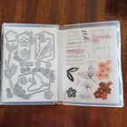 Stampin  Up  Sentimental Park Stamp Set And Dies Bundle