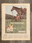 The Sporting News February 23  1974 Bill Walton Ucla Bruins Basketball