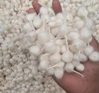 Cotton Wicks Pure Cotton Phool Batti Cotton Wicks Or Diya Batti For Pooja Prayer