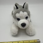 Fao Schwarz Adopt-a-pet Husky Wolf Dog Plush Stuffed Animal 16 