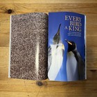 September 2009   Before New York