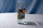 Hard Rock Cafe Shot Glass Can Cun With Box - Very Good Condition