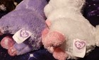 Ty Beanie Boos  Solid Eye  Purple Tags  Mwmt  Includes Rainbow Unicorn 