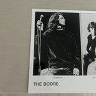 The Doors Publicity Promo Photo 8x10 Elektra Records