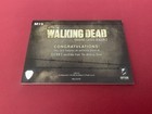 Walking Dead Season 3 Wardrobe Relic Patch Card -   19 - Glenn Rhee  - Nm