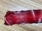 Dyed Red Sea Snake Skin 