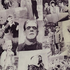 Vintage 1950s Hollywood Fabric Monsters Dracula Golden Age Actors Rare Pictures 