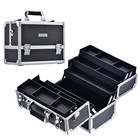 Professional Makeup Train Case Extra Large Cosmetic Organizer Box 6 Trays With S